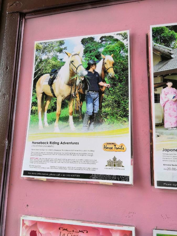 云顶山脚成功山公寓 武吉丁宜 外观 照片